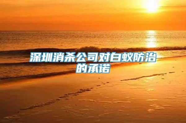 深圳消杀公司对白蚁防治的承诺