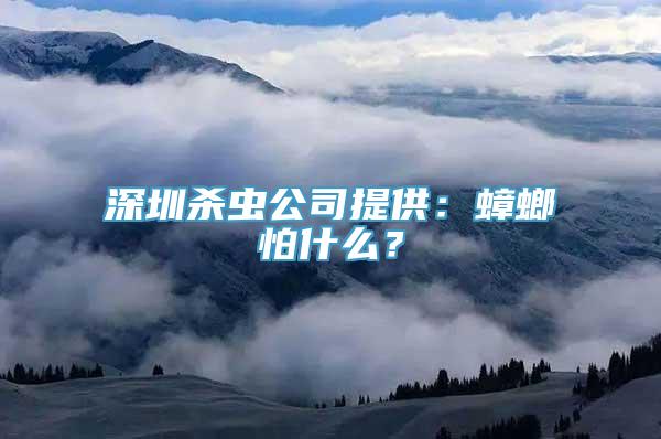 深圳杀虫公司提供：蟑螂怕什么？