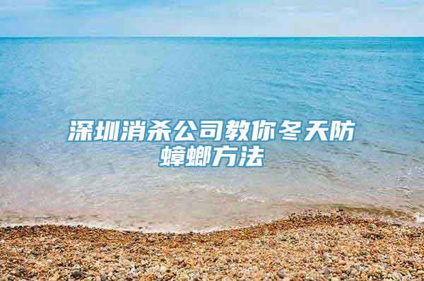 深圳消杀公司教你冬天防蟑螂方法