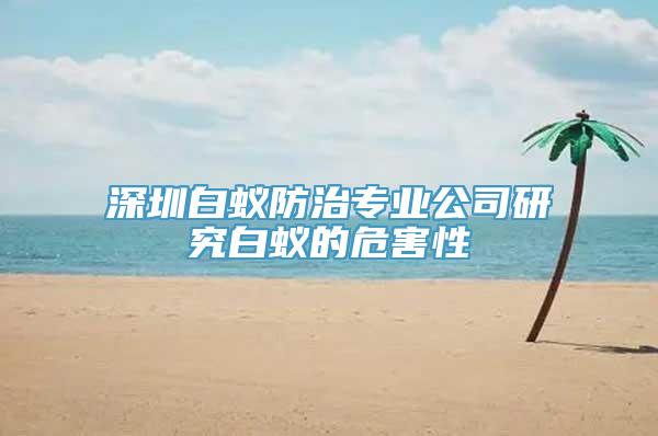 深圳白蚁防治专业公司研究白蚁的危害性