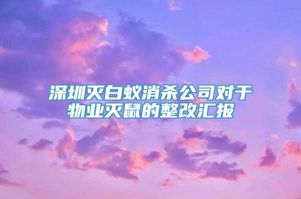 深圳灭白蚁消杀公司对于物业灭鼠的整改汇报