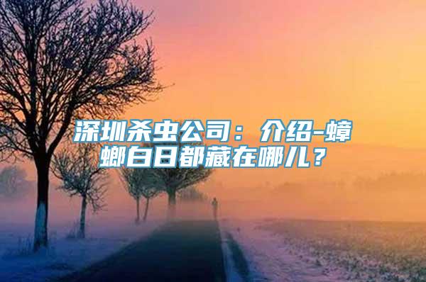 深圳杀虫公司：介绍-蟑螂白日都藏在哪儿？