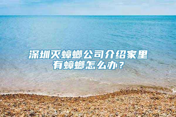 深圳灭蟑螂公司介绍家里有蟑螂怎么办？