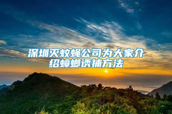 深圳灭蚊蝇公司为大家介绍蟑螂诱捕方法