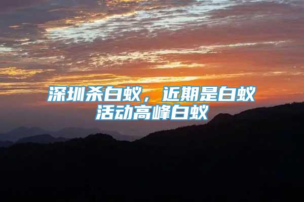 深圳杀白蚁，近期是白蚁活动高峰白蚁