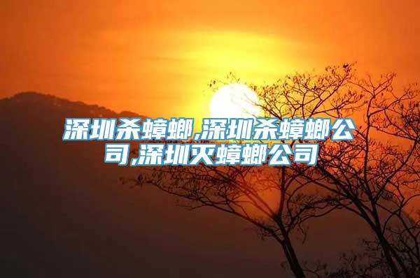 深圳杀蟑螂,深圳杀蟑螂公司,深圳灭蟑螂公司