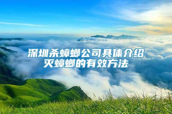 深圳杀蟑螂公司具体介绍灭蟑螂的有效方法