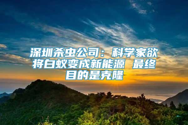 深圳杀虫公司：科学家欲将白蚁变成新能源 最终目的是克隆