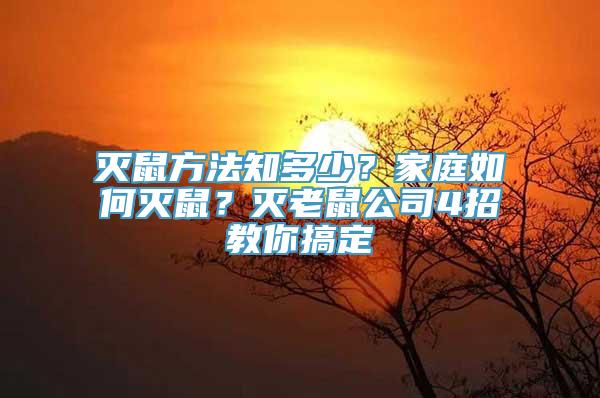 灭鼠方法知多少？家庭如何灭鼠？灭老鼠公司4招教你搞定