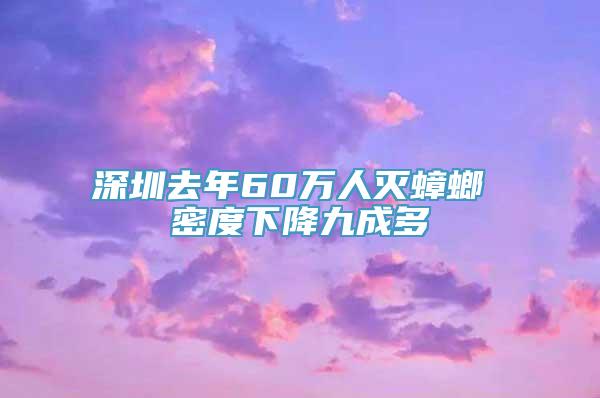 深圳去年60万人灭蟑螂 密度下降九成多