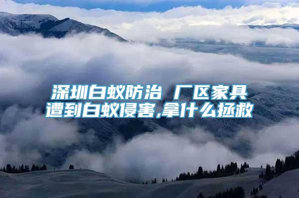 深圳白蚁防治 厂区家具遭到白蚁侵害,拿什么拯救