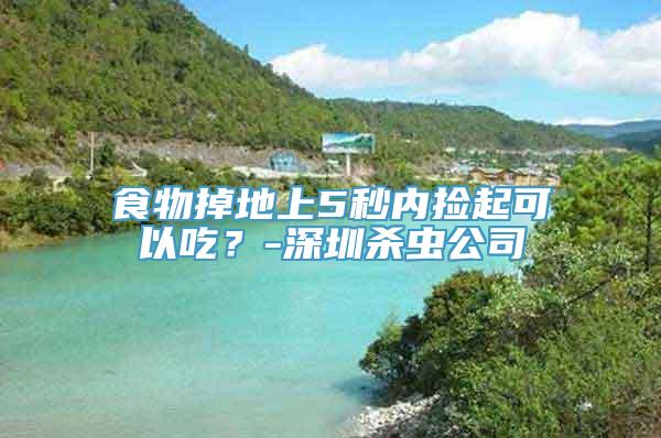 食物掉地上5秒内捡起可以吃？-深圳杀虫公司