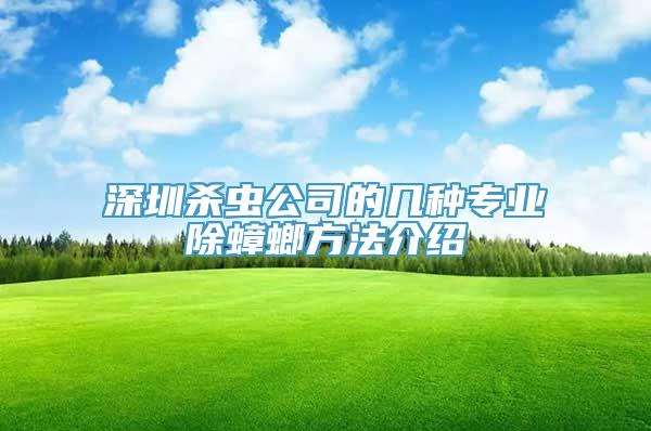 深圳杀虫公司的几种专业除蟑螂方法介绍