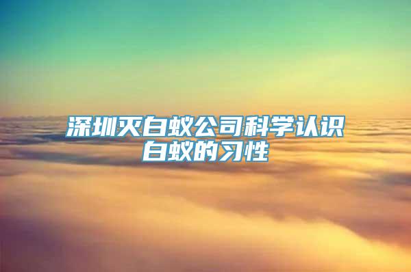 深圳灭白蚁公司科学认识白蚁的习性