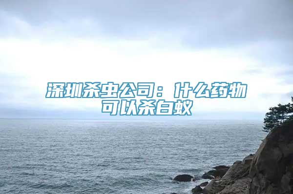 深圳杀虫公司：什么药物可以杀白蚁