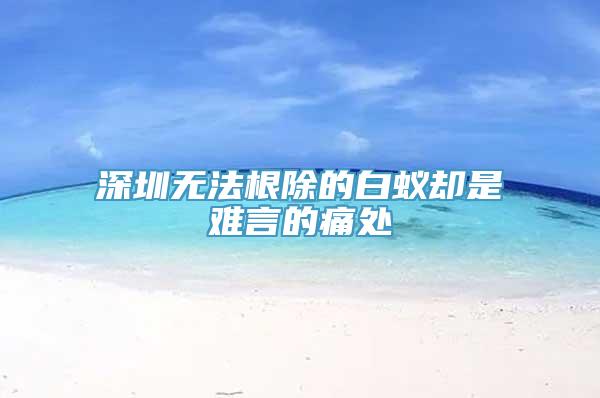 深圳无法根除的白蚁却是难言的痛处