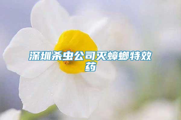 深圳杀虫公司灭蟑螂特效药