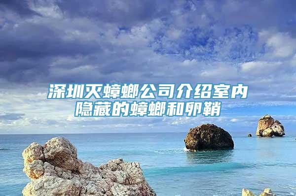 深圳灭蟑螂公司介绍室内隐藏的蟑螂和卵鞘