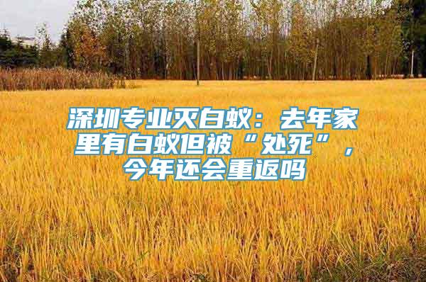 深圳专业灭白蚁：去年家里有白蚁但被“处死”，今年还会重返吗