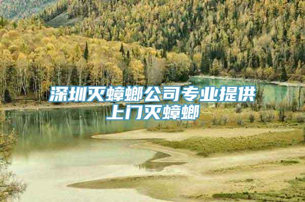 深圳灭蟑螂公司专业提供上门灭蟑螂