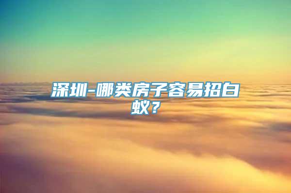 深圳-哪类房子容易招白蚁？