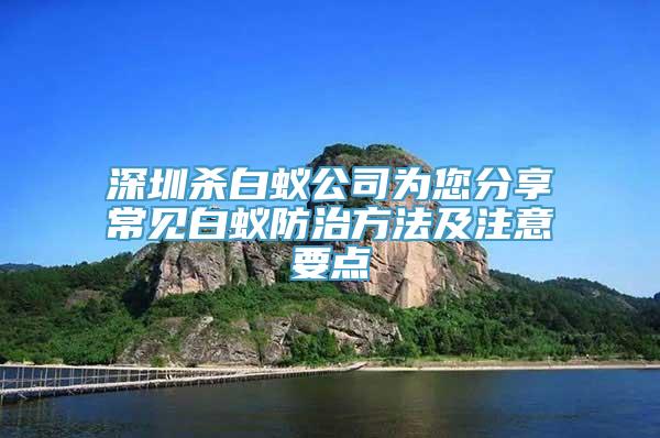 深圳杀白蚁公司为您分享常见白蚁防治方法及注意要点