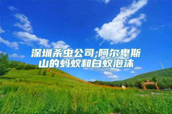 深圳杀虫公司;阿尔卑斯山的蚂蚁和白蚁泡沫