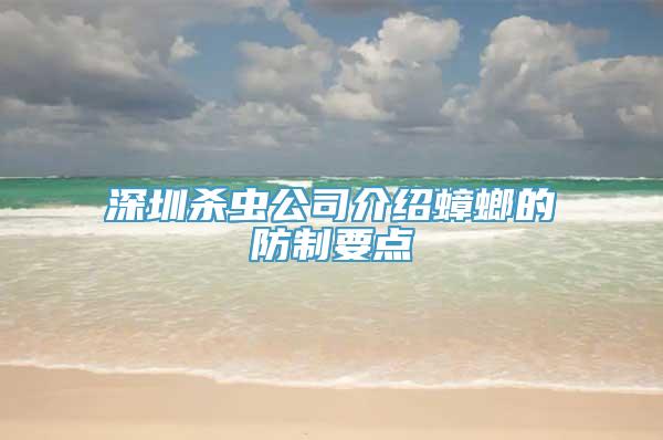 深圳杀虫公司介绍蟑螂的防制要点