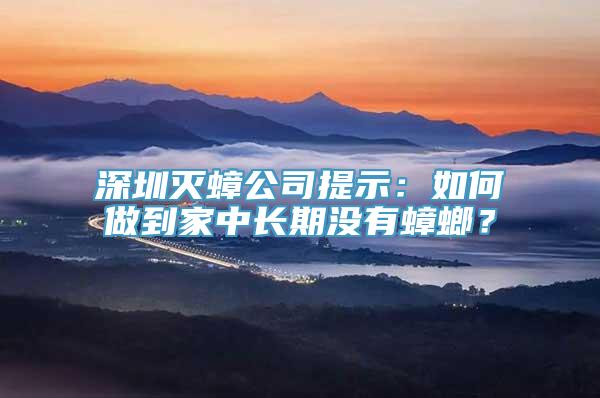 深圳灭蟑公司提示：如何做到家中长期没有蟑螂？