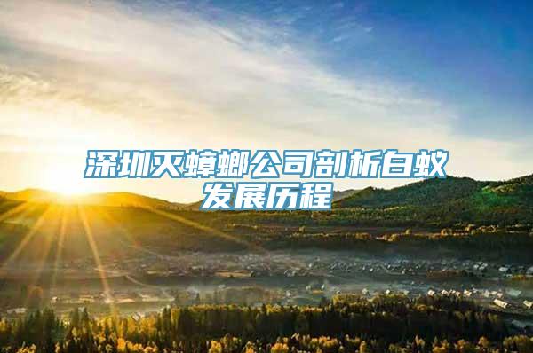 深圳灭蟑螂公司剖析白蚁发展历程