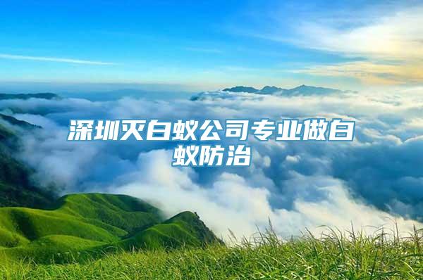 深圳灭白蚁公司专业做白蚁防治