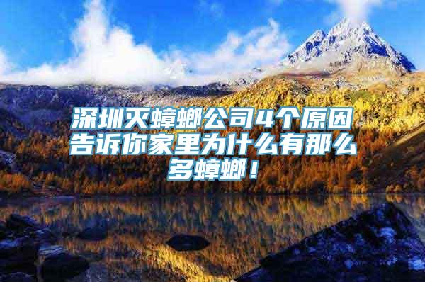 深圳灭蟑螂公司4个原因告诉你家里为什么有那么多蟑螂！