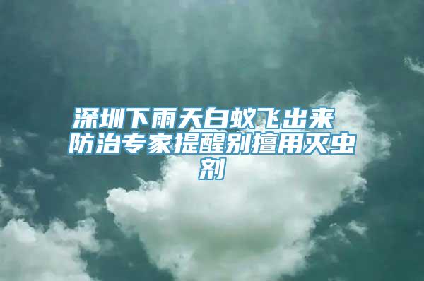 深圳下雨天白蚁飞出来 防治专家提醒别擅用灭虫剂