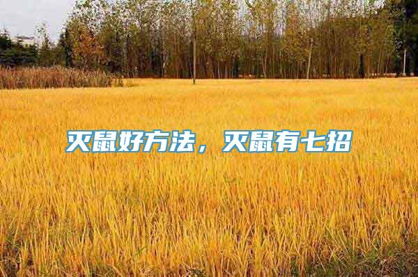 灭鼠好方法，灭鼠有七招