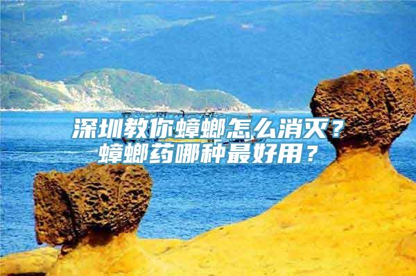 深圳教你蟑螂怎么消灭？蟑螂药哪种最好用？