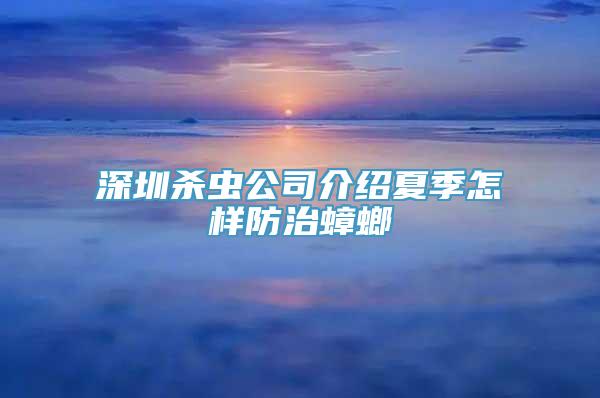 深圳杀虫公司介绍夏季怎样防治蟑螂