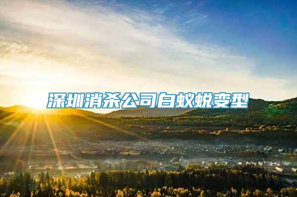 深圳消杀公司白蚁蜕变型