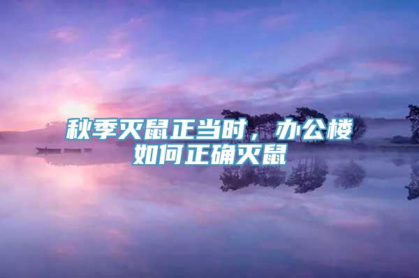 秋季灭鼠正当时，办公楼如何正确灭鼠