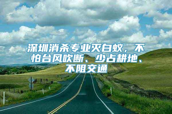 深圳消杀专业灭白蚁，不怕台风吹断、少占耕地、不阻交通