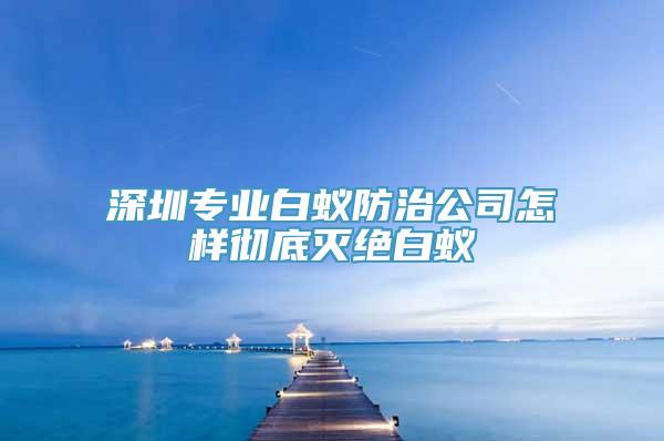 深圳专业白蚁防治公司怎样彻底灭绝白蚁