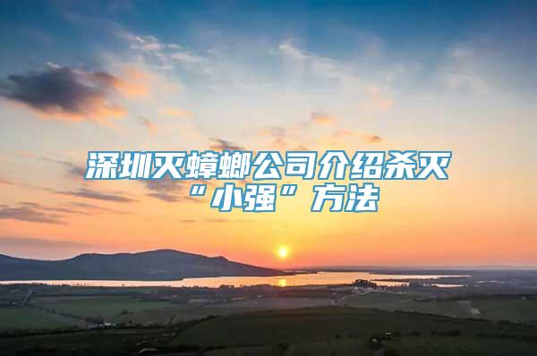 深圳灭蟑螂公司介绍杀灭“小强”方法