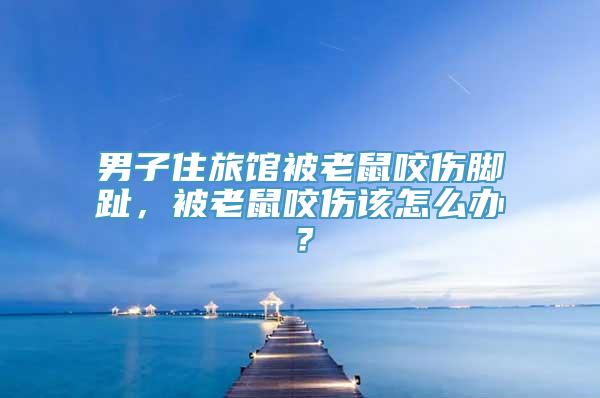 男子住旅馆被老鼠咬伤脚趾，被老鼠咬伤该怎么办？