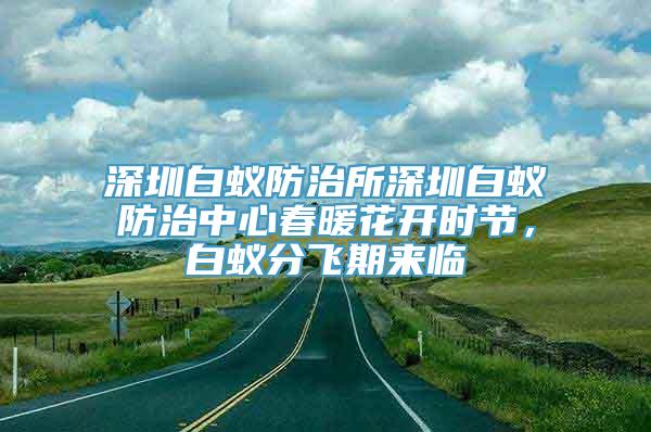 深圳白蚁防治所深圳白蚁防治中心春暖花开时节，白蚁分飞期来临