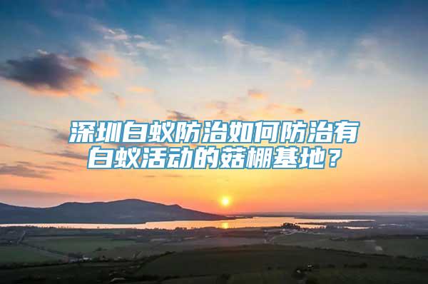 深圳白蚁防治如何防治有白蚁活动的菇棚基地？