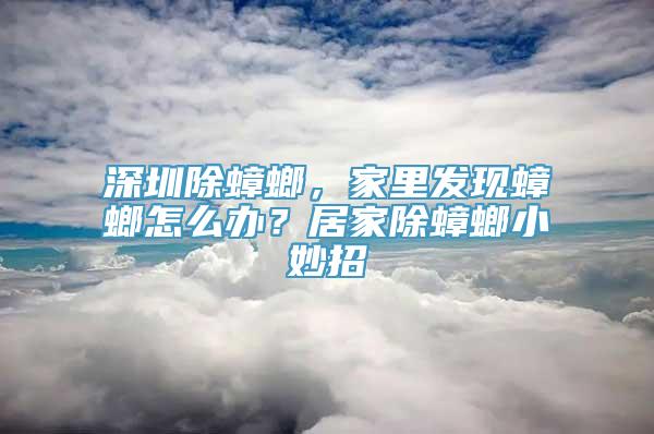 深圳除蟑螂，家里发现蟑螂怎么办？居家除蟑螂小妙招