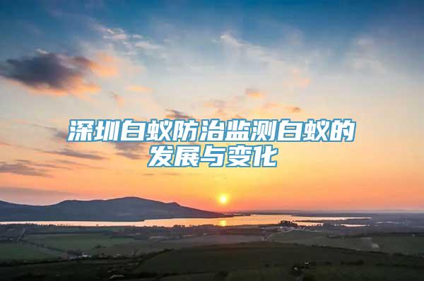 深圳白蚁防治监测白蚁的发展与变化