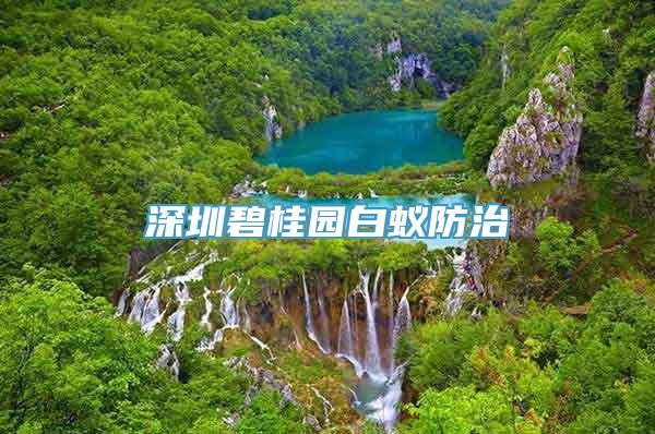 深圳碧桂园白蚁防治