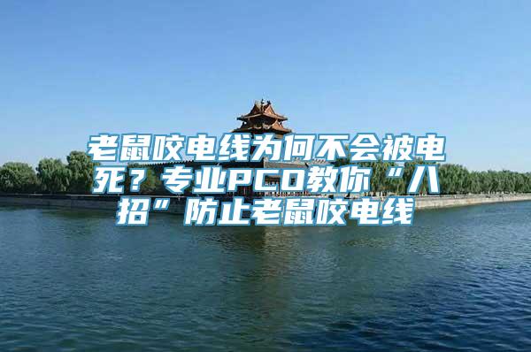 老鼠咬电线为何不会被电死？专业PCO教你“八招”防止老鼠咬电线