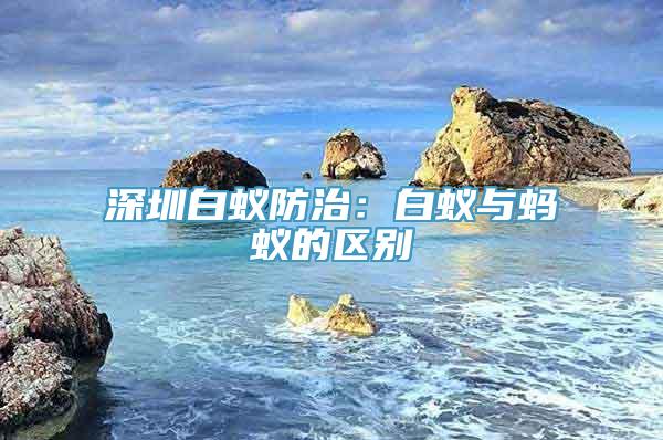 深圳白蚁防治：白蚁与蚂蚁的区别