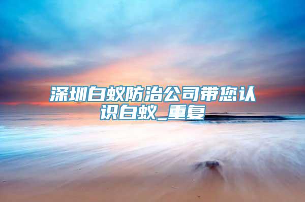 深圳白蚁防治公司带您认识白蚁_重复